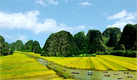 La bande-annonce officielle de "Kong : Skull Island" révèle des paysages imposants du Vietnam 