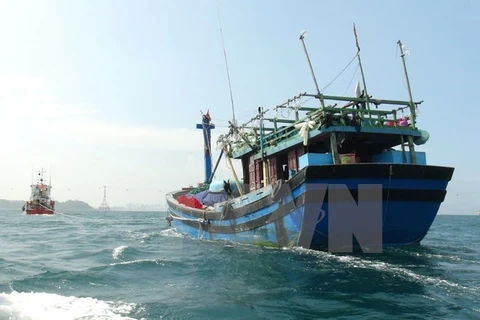 Protection de pêcheurs vietnamiens en détresse au large du Golfe du Bac Bo