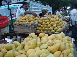 Les Etats-Unis vont autoriser l'importation de mangues du Vietnam 