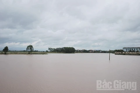 Bac Giang subit des pluies diluviennes