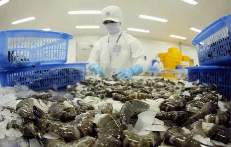 Les exportations de crevettes devraient dépasser les 3 milliards de dollars cette année