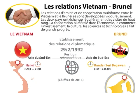 Les relations Vietnam - Brunei en infographie
