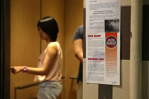 Singapour annonce 40 nouveaux cas d’infection au virus Zika
