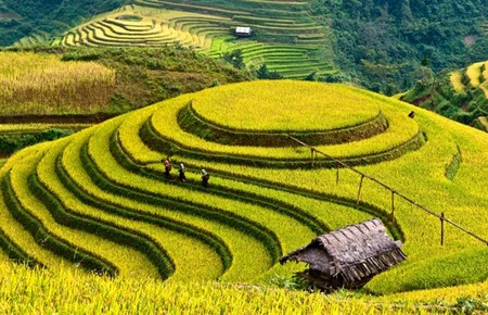 Yên Bái: deux semaines touristiques à la fois