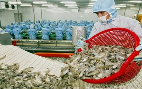 Les États-Unis maintiennent les droits sur les crevettes congelées vietnamiennes