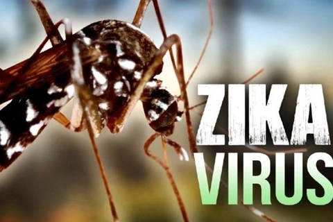 Ho Chi Minh-Ville: découverte de 17 cas de virus Zika