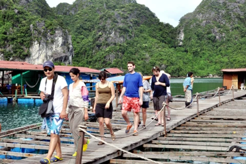 Quang Ninh dénombre 7,3 millions de touristes en 10 mois