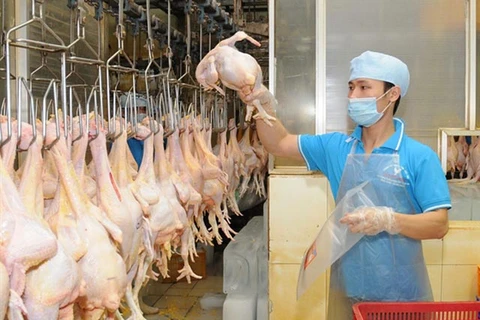 Promotion de l’export de viande de poulet au Japon 