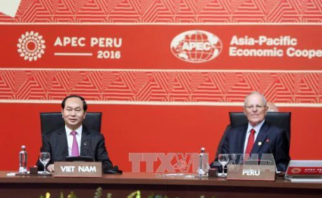 Clôture du 24e Sommet de l’APEC