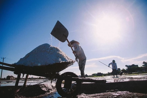 La saliculture à Nam Dinh