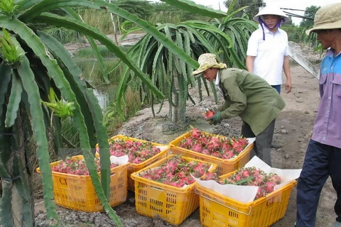 Promotion du commerce des produits agricoles, sylvicoles et aquatiques Vietnam-Australie