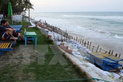 Quang Nam lance un projet pour sauver la côte de Hôi An de l’érosion
