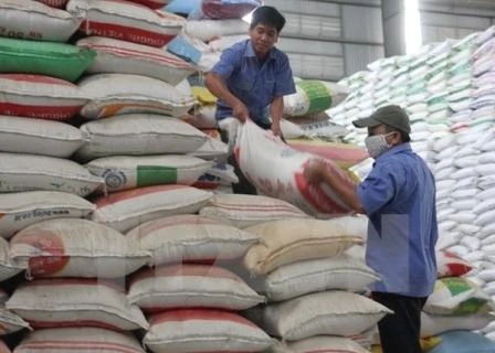 Octroi gratuit de plus de 1.000 tonnes de riz à Phu Yên 