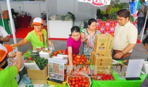 Le programme «Connexion verte en faveur d’une agriculture durable» débute à Hô Chi Minh-Ville