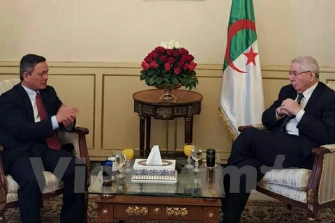 Vietnam-Algérie : renforcement des relations entre les deux organes législatifs