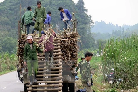 Le Vietnam s’intéresse toujours à la réduction durable de la pauvreté