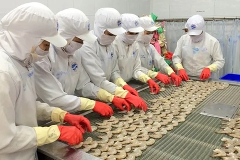 MIC appelle à l’Australie à renoncer à l’interdiction d’importation de crevettes