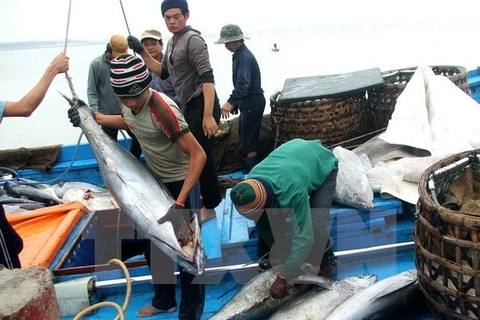 Demande de révision des taxes sur les thons vietnamiens expédiés au Japon 