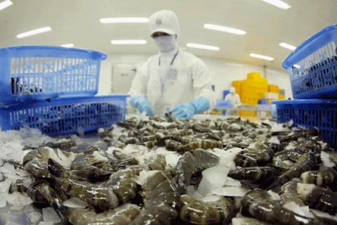 Les exportations de crevettes devraient atteindre 3,4 milliards de dollars en 2017