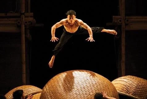 Un spectacle de cirque et de danse du Vietnam ravit le public australien