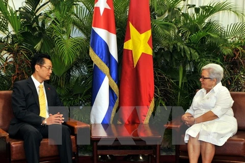 Les relations Vietnam-Cuba ne cessent de se développer