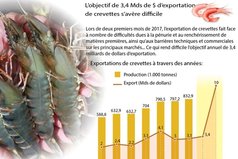 L’objectif de 3,4 Mds de $ d’exportation de crevettes s’avère difficile