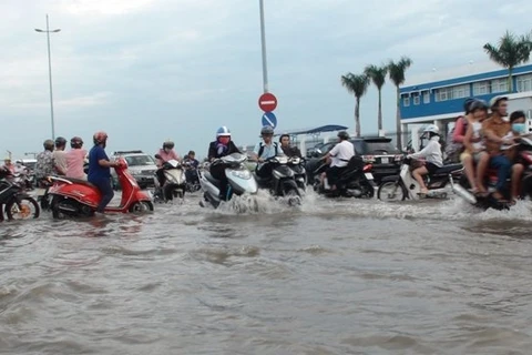 Singapour partage ses expériences avec Ho Chi Minh-Ville dans le développement urbain 