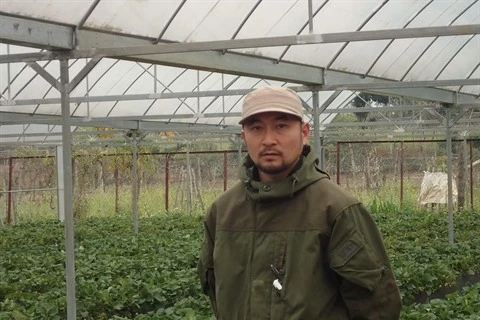 Nahana Shojiro, les fraisiers japonais de la passion à Môc Châu