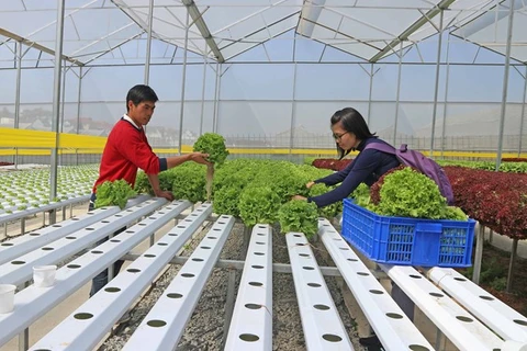 Le Vietnam participe au Congrès mondial de l'Entrepreneuriat