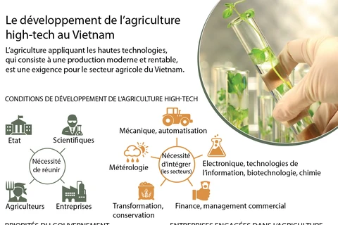 Le développement de l’agriculture high-tech au Vietnam