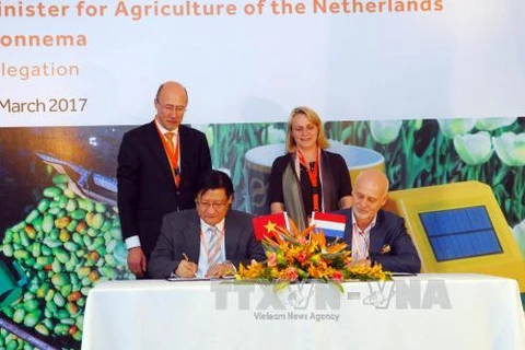 Les Pays-Bas aident le Vietnam à développer une agriculture durable