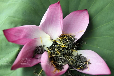 Le plaisir des Hanoïens de boire du thé au lotus 