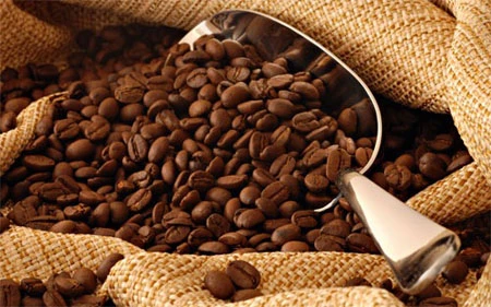 Le café, premier produit vietnamien d’exportation vers l’Algérie