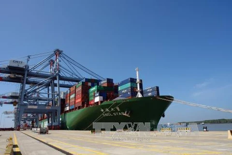 Un cargo de 160.000 tonnes mouille au port de Tan Cang Cai Mep-Thi Vai