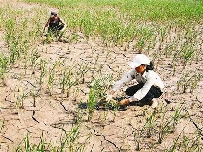 Changements climatiques: l’ONU s’engage à coopérer à long terme avec le Vietnam