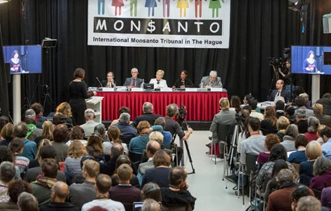 Monsanto accusée d’« écocide » par un tribunal international