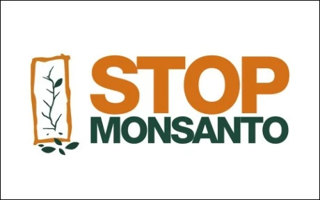 Deux eurodéputés demandent une commission d'enquête sur Monsanto