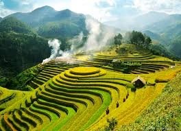 Des rizières en terrasses de Mu Cang Chai.