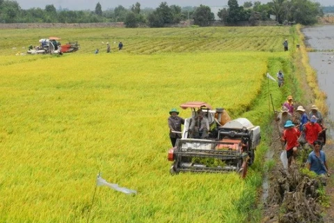 Le Vietnam conjugue les efforts pour s'adapter aux changements climatiques