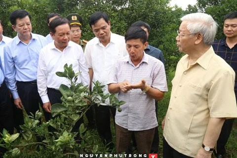 Le secrétaire général du Parti travaille dans la province de Hoa Binh 