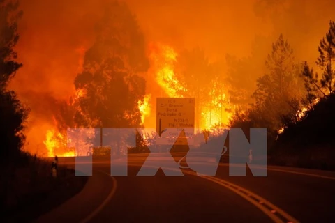 Incendies de forêt : message de sympathie au Portugal