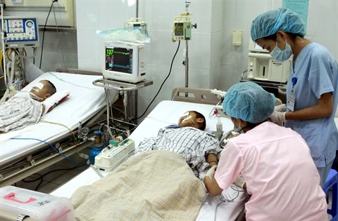 Alerte : importante épidémie d’encéphalite japonaise au Vietnam