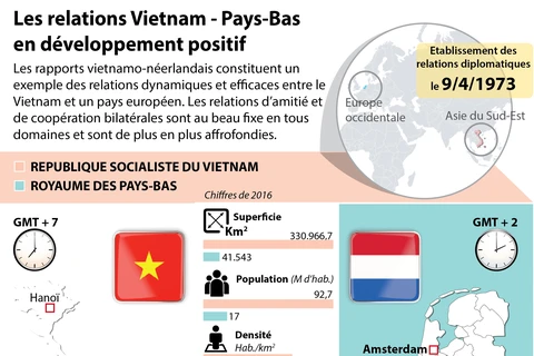 Les relations Vietnam - Pays-Bas en développement positif