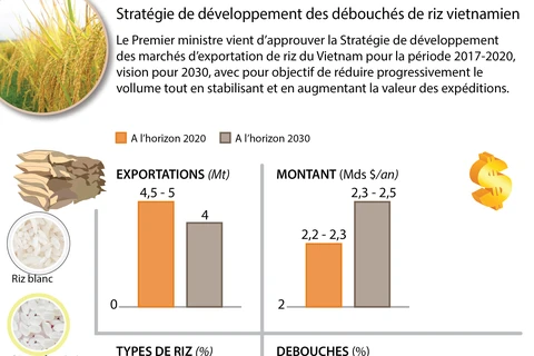 Stratégie de développement des marchés pour le riz vietnamien