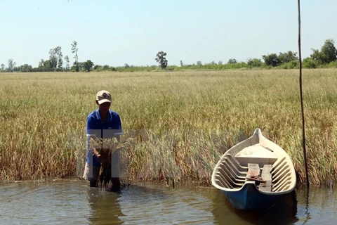 Un projet de résilience au changement climatique qui bénéficie à huit localités