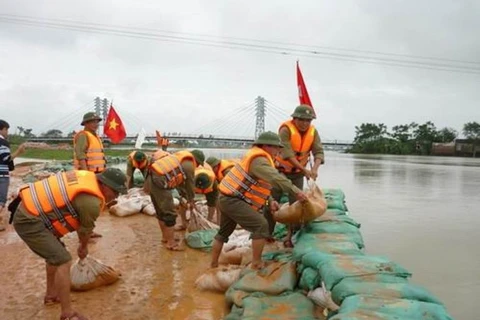 Hanoi et l'organisation C40 coopèrent dans la lutte contre le changement climatique