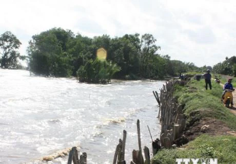 Delta du Mékong: 24 projets de lutte contre le changement climatique à lancer d'ici 2020