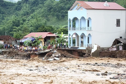 Aide de la Croix-Rouge du Vietnam pour les populations sinistrées des régions montagneuses du Nord