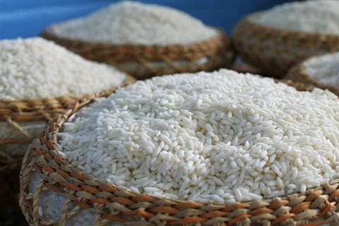 1er semestre : plus de 660.000 tonnes de riz parfumé exportées