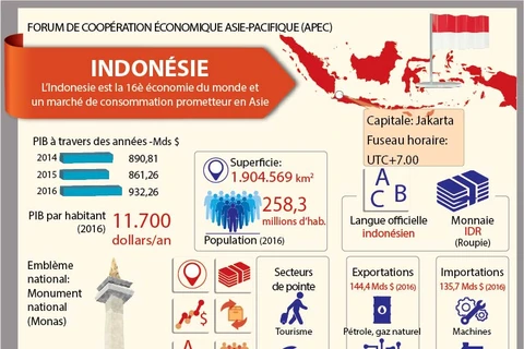 [Infographie] FORUM DE COOPÉRATION ÉCONOMIQUE ASIE-PACIFIQUE (APEC) - Indonésie